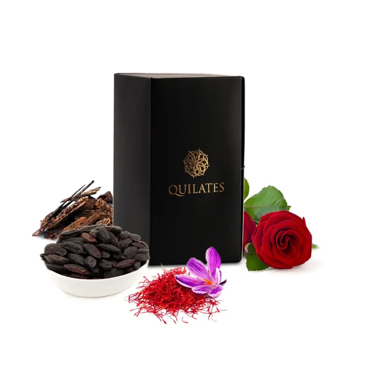 Arabians Tonka de Montale