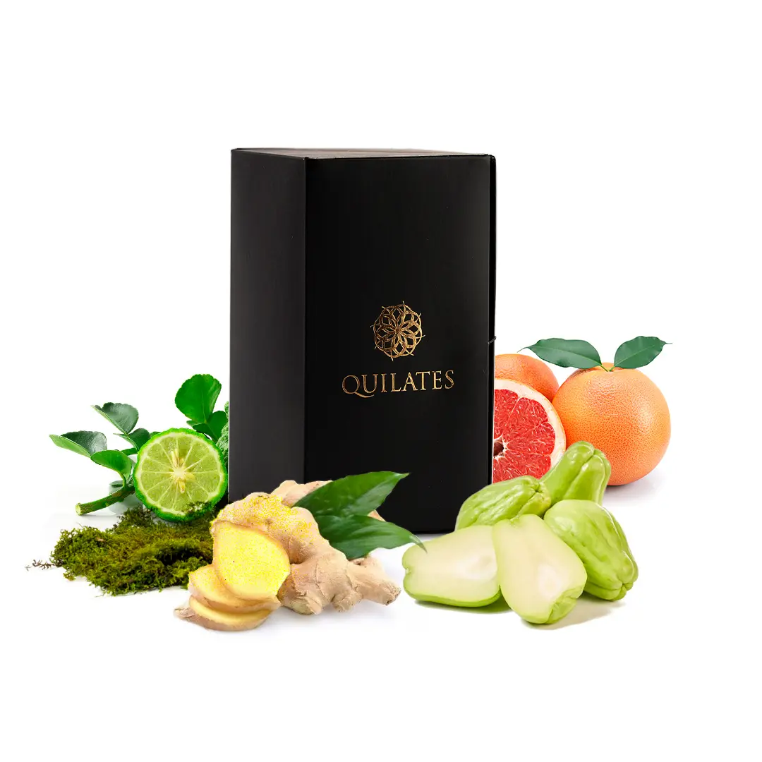 Aventus absolu de Creed