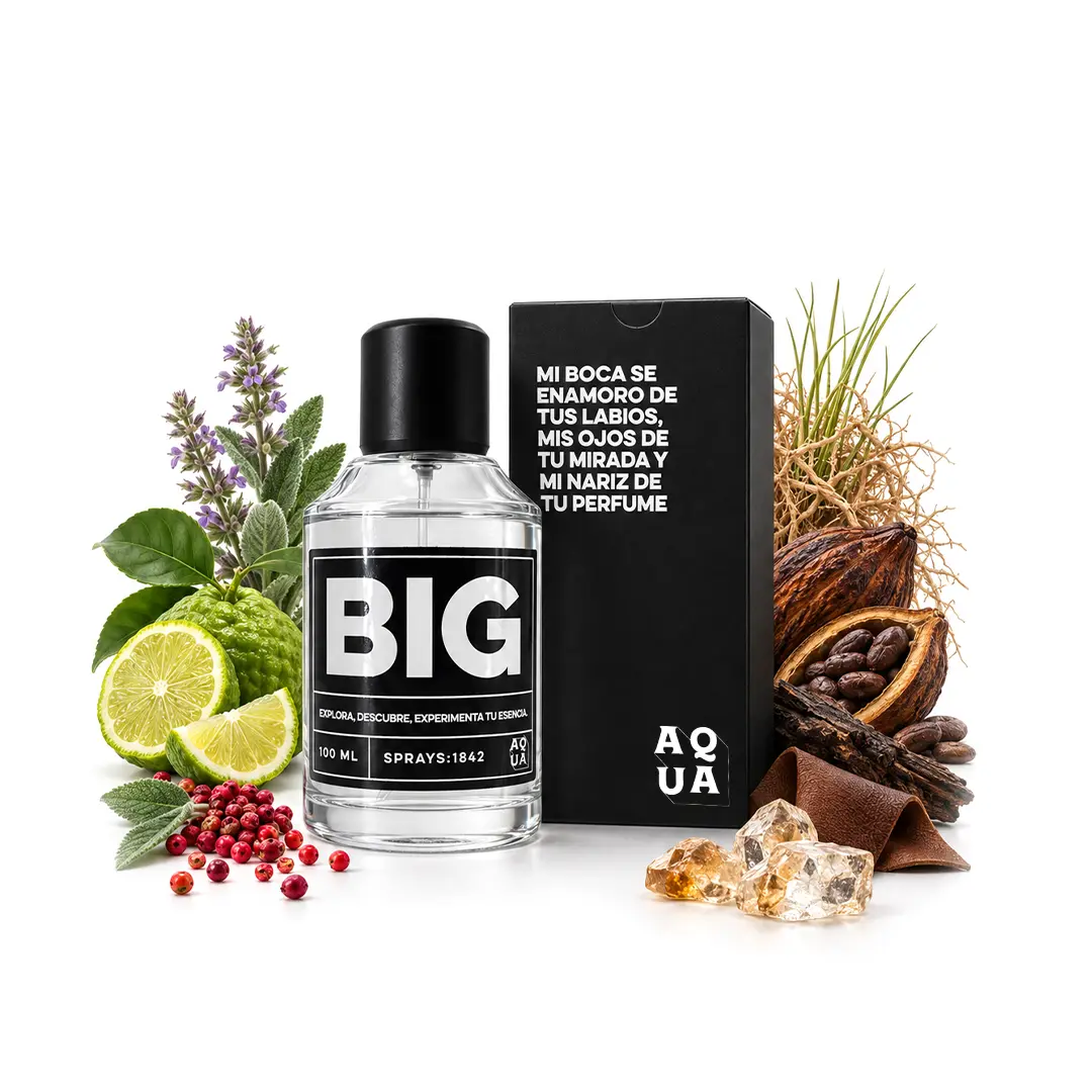 Explorer de Montblanc