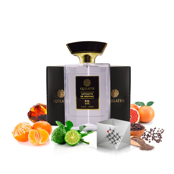 Sauvafge de Dior y perseus de Marly