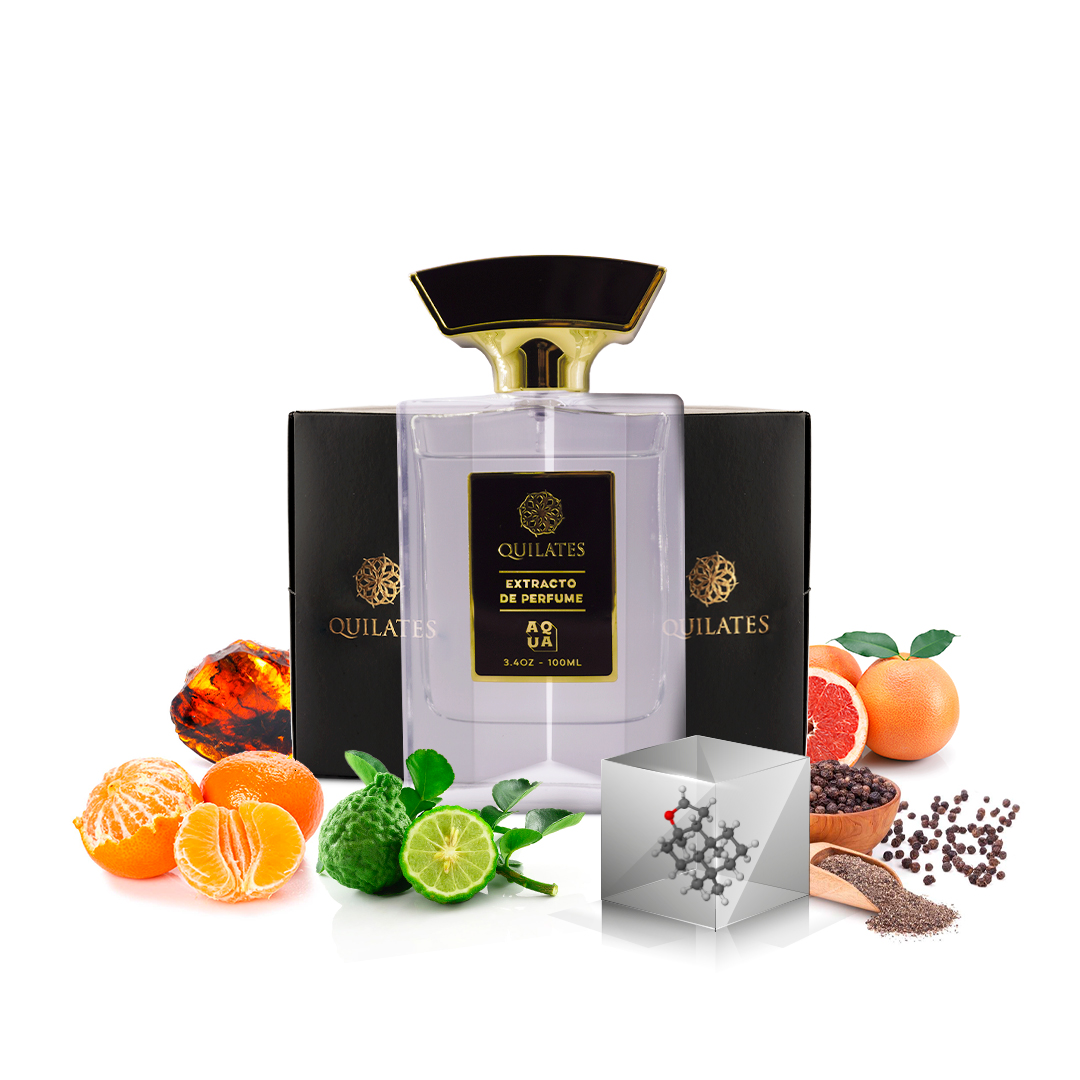 Sauvafge de Dior y perseus de Marly