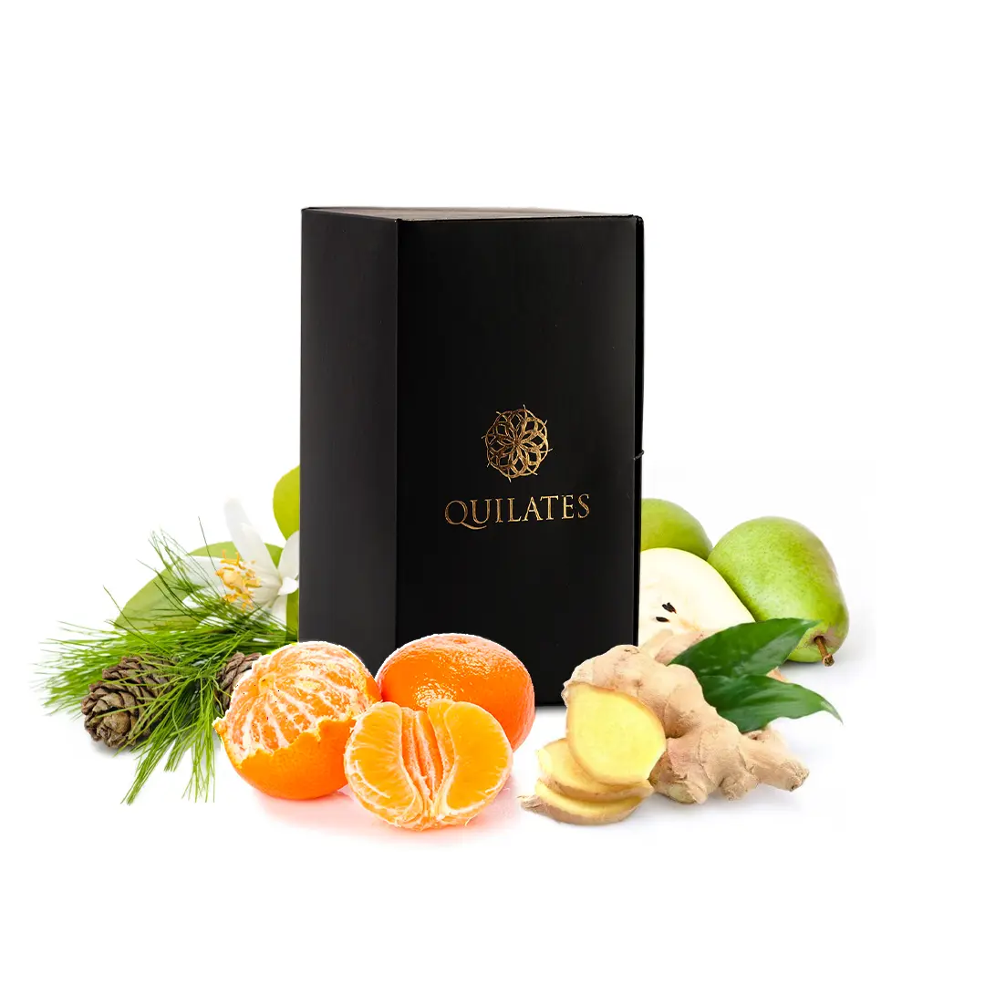 Art of universe de Lattafa